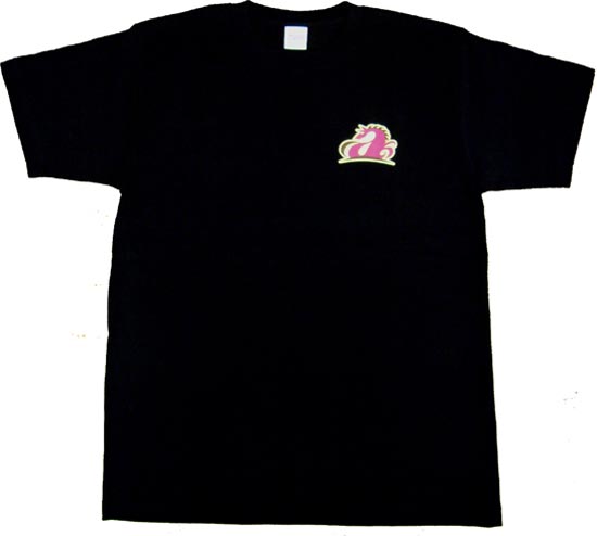 ��ƣ���ʥ��ꥸ�ʥ�T�����