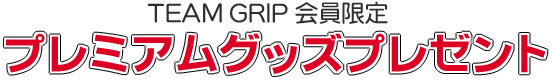 TEAM GRIP������ꡡ�ץ�ߥ��॰�å��ץ쥼���