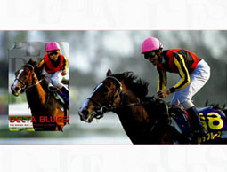 �ǥ륿�֥롼���Υ���������(������)