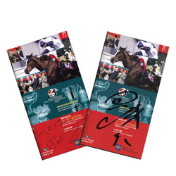 �����ݶ��������Υ졼���󥰥ץ������