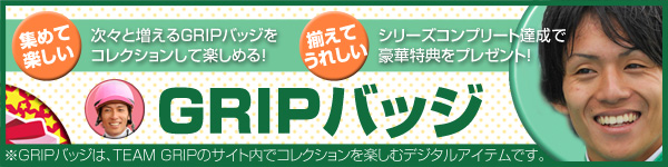 集めて楽しい！揃えて嬉しい！GRIPバッジ