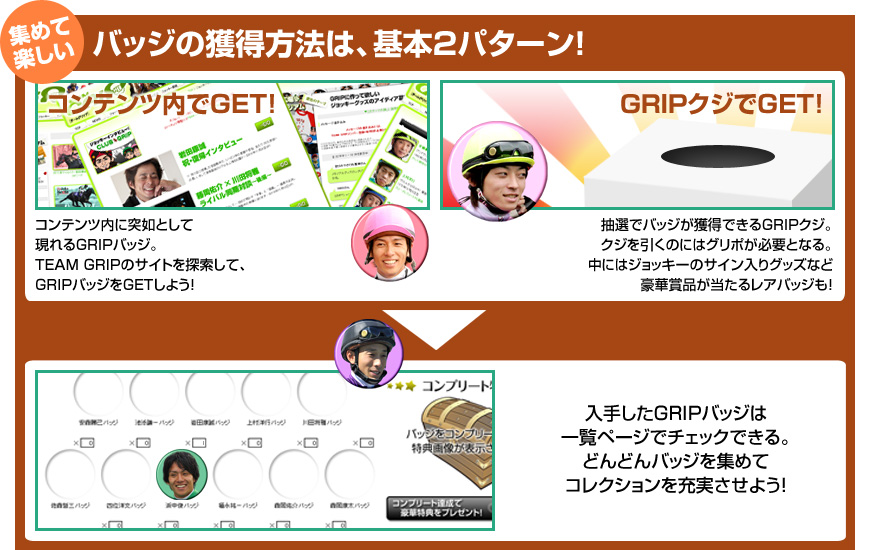 揃えて嬉しい！シリーズコンプリート達成で豪華特典をプレゼント！