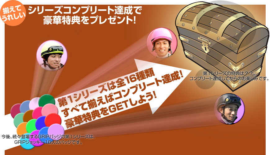 揃えて嬉しい！シリーズコンプリート達成で豪華特典をプレゼント！