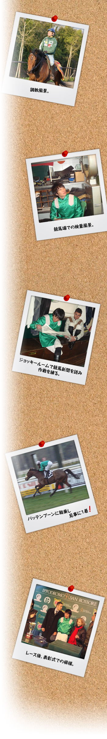 松田大作スペシャルコンテンツ