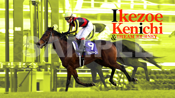 2009年有馬記念・池添謙一×ドリームジャーニー